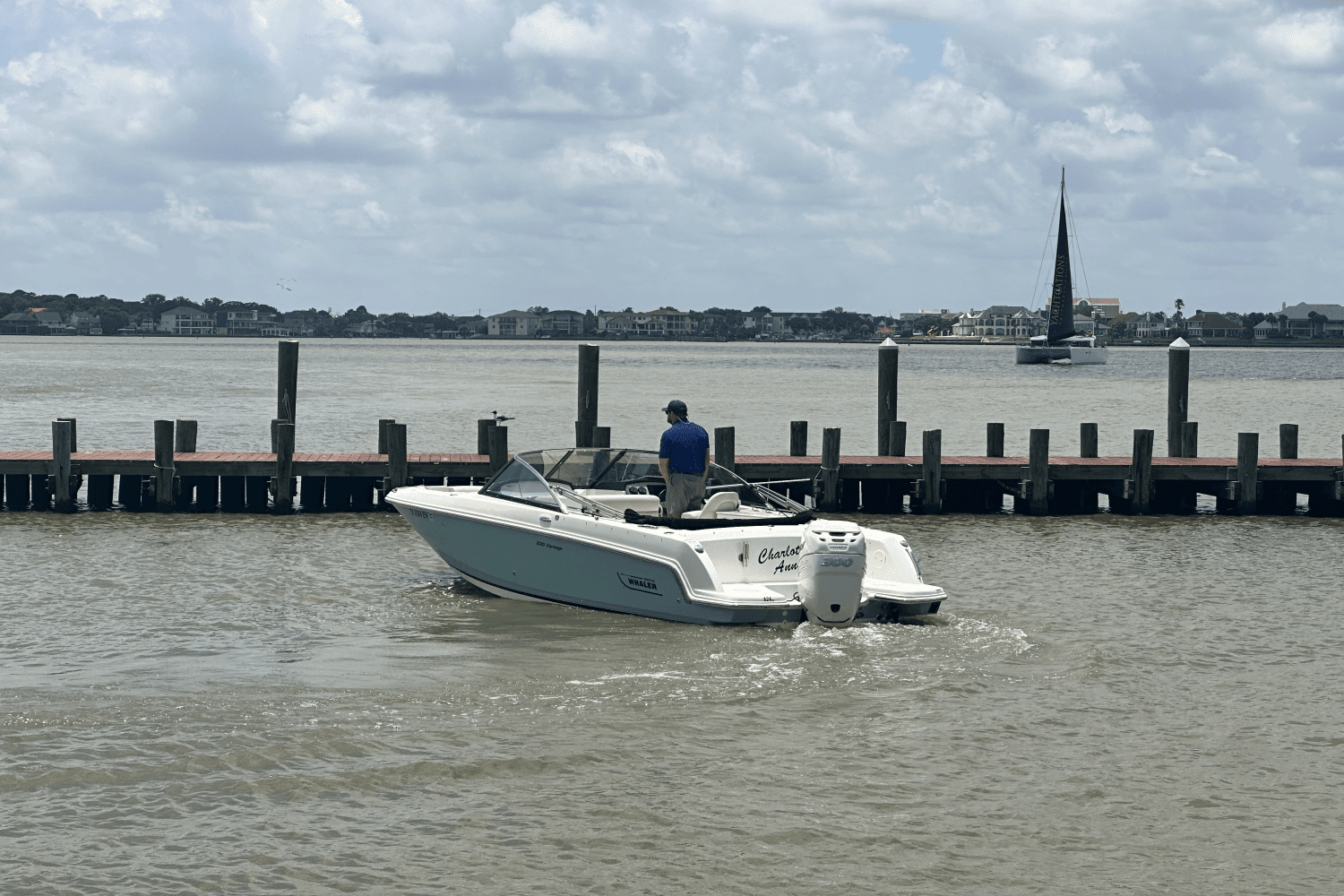 2018 Boston Whaler 230 VANTAGE Image Thumbnail #11