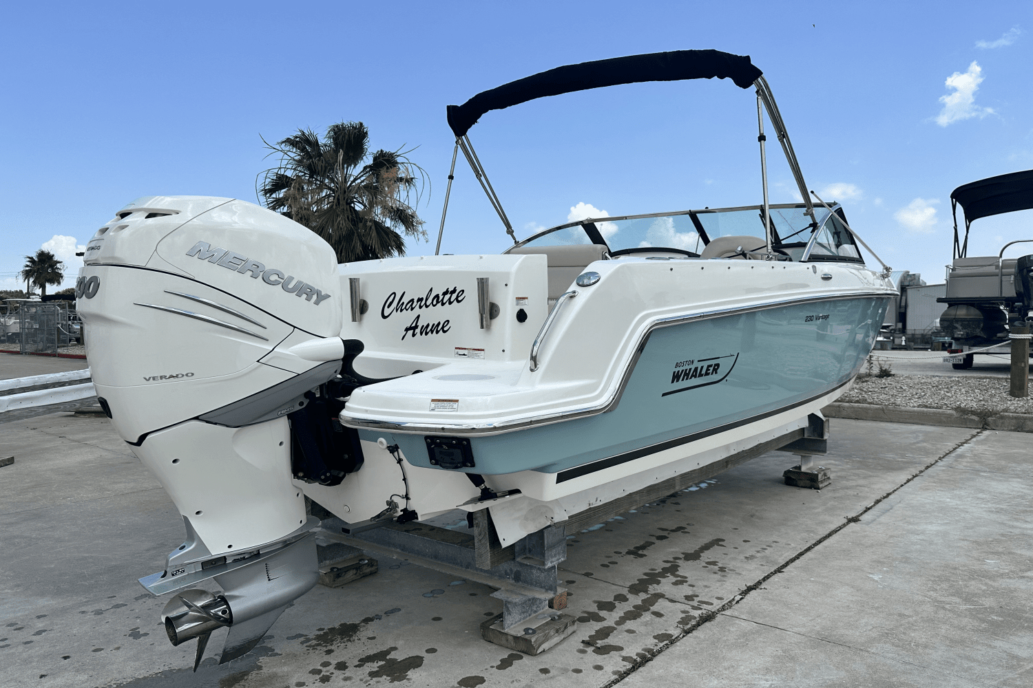 2018 Boston Whaler 230 VANTAGE Image Thumbnail #2