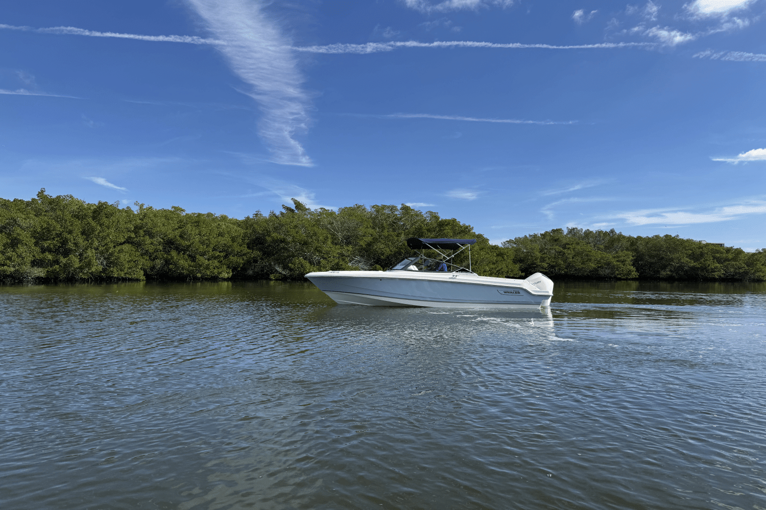 2025 Boston Whaler 210 Vantage Image Thumbnail #4