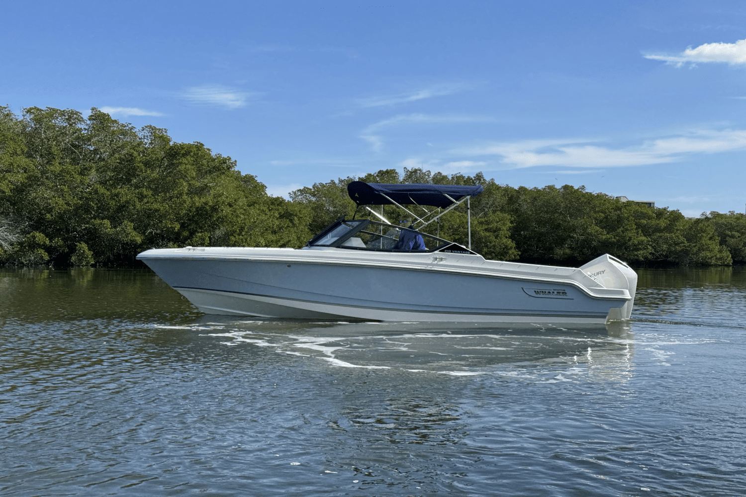 2025 Boston Whaler 210 Vantage Image Thumbnail #3