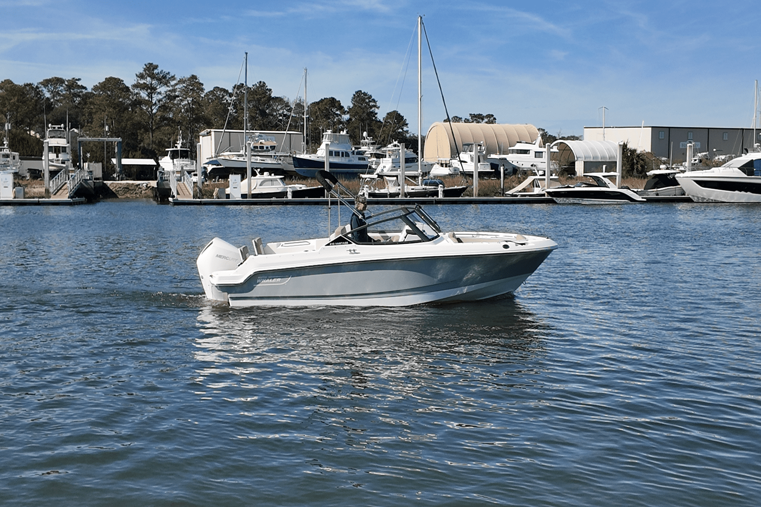 2025 Boston Whaler 210 Vantage Image Thumbnail #3
