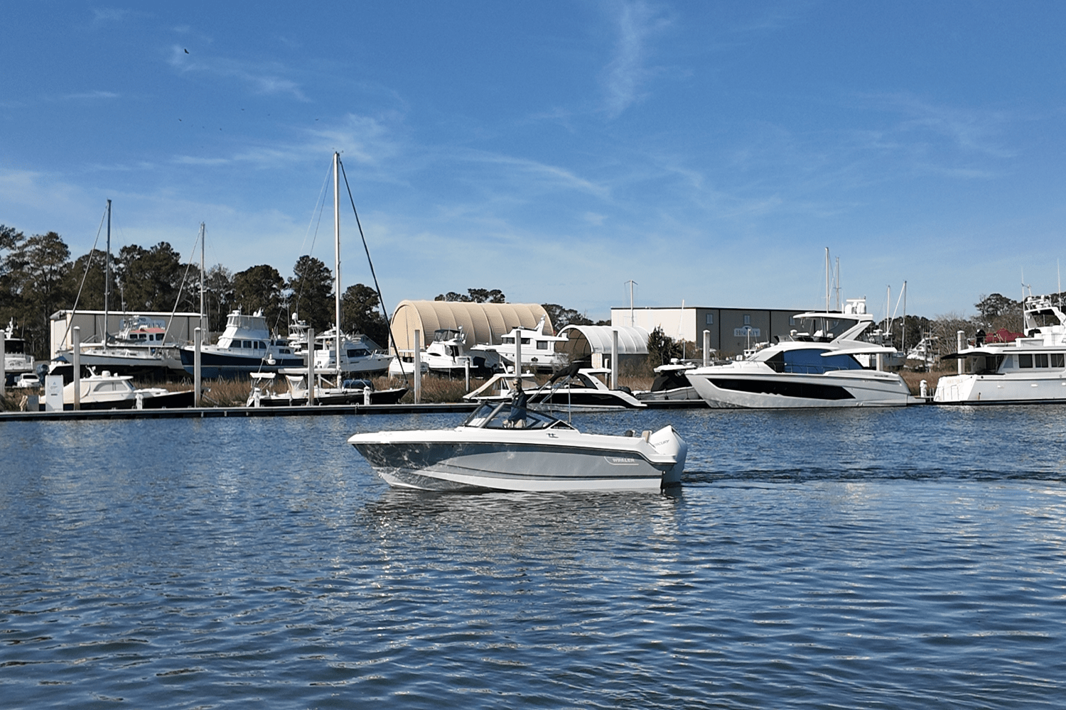 2025 Boston Whaler 210 Vantage Image Thumbnail #1