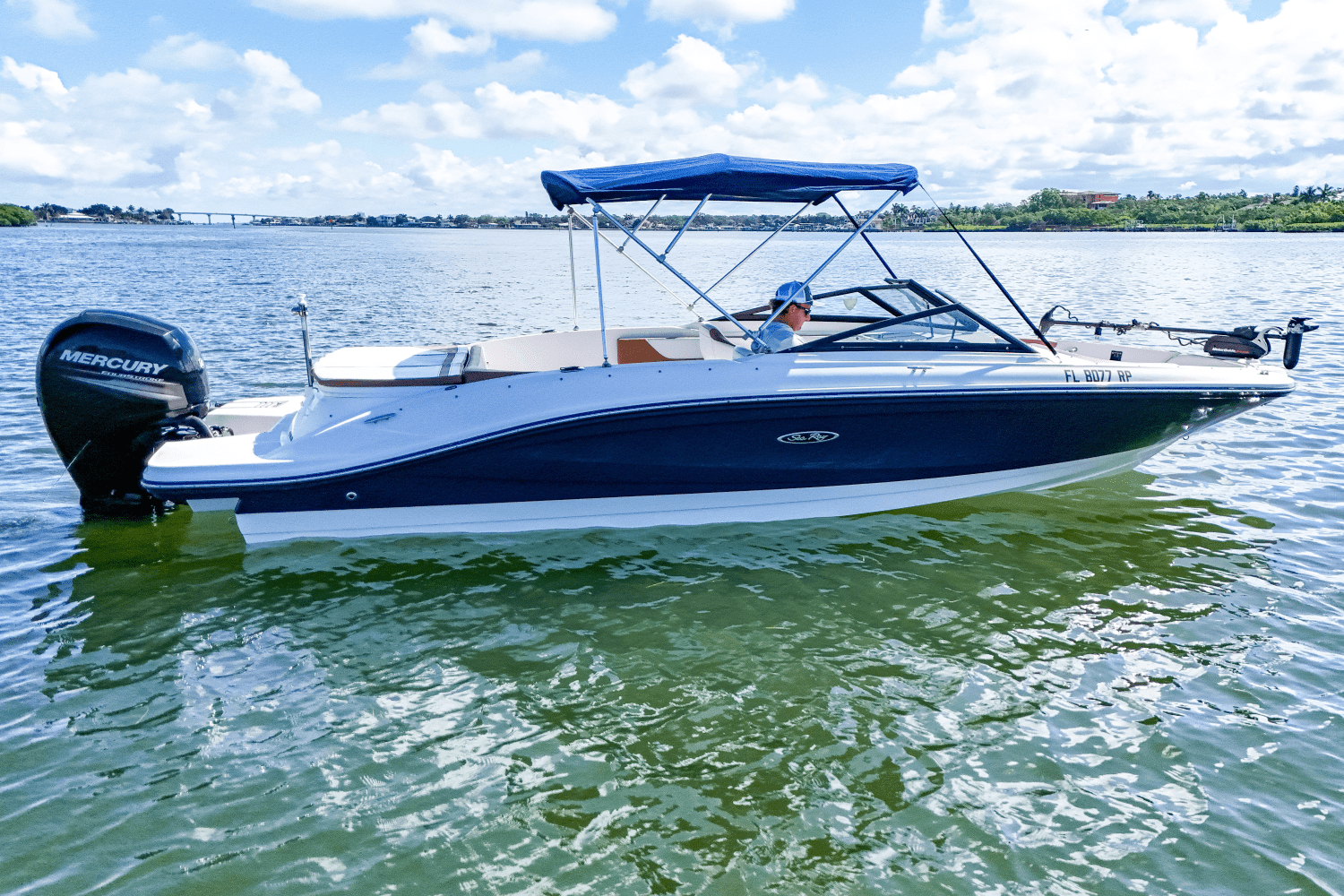 2018 Sea Ray 210 SPX OUTBOARD Image Thumbnail #5