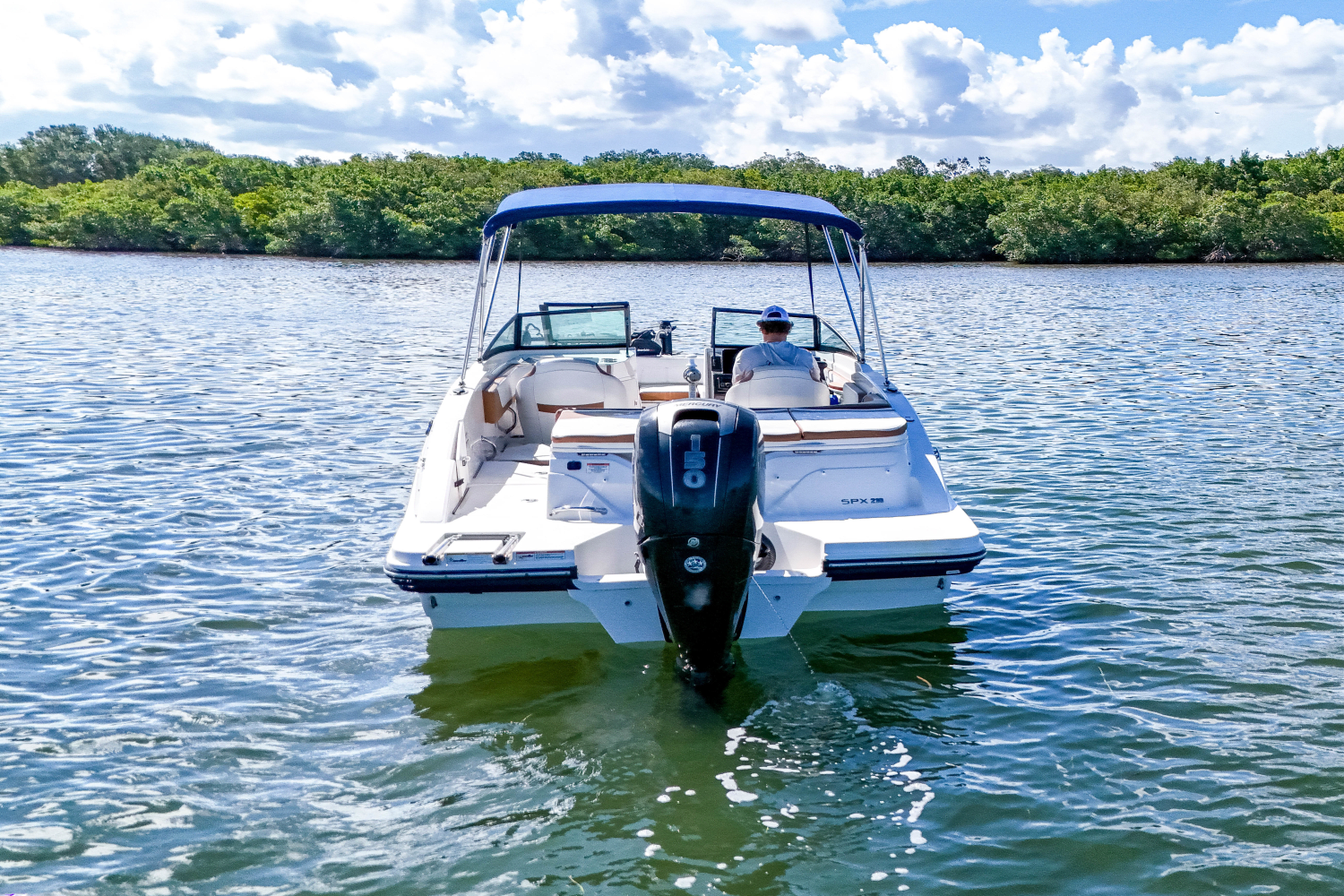 2018 Sea Ray 210 SPX OUTBOARD Image Thumbnail #3