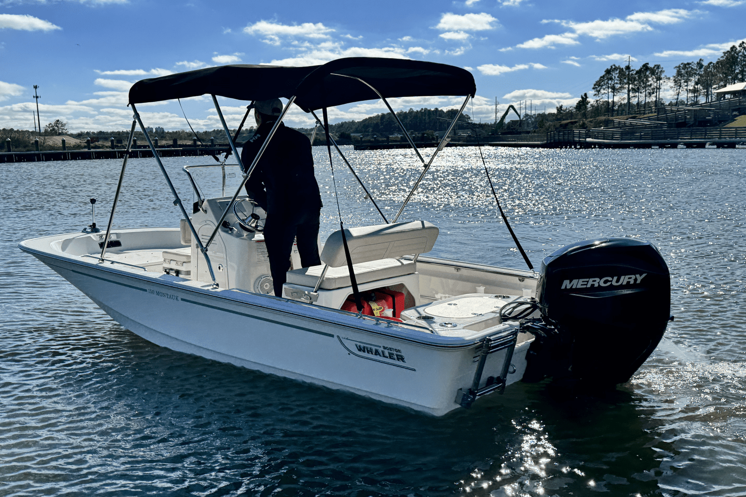 2025 Boston Whaler 150 Montauk Image Thumbnail #8