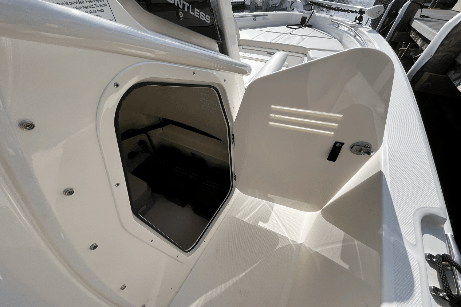 2025 Boston Whaler 250 Dauntless Image Thumbnail #20