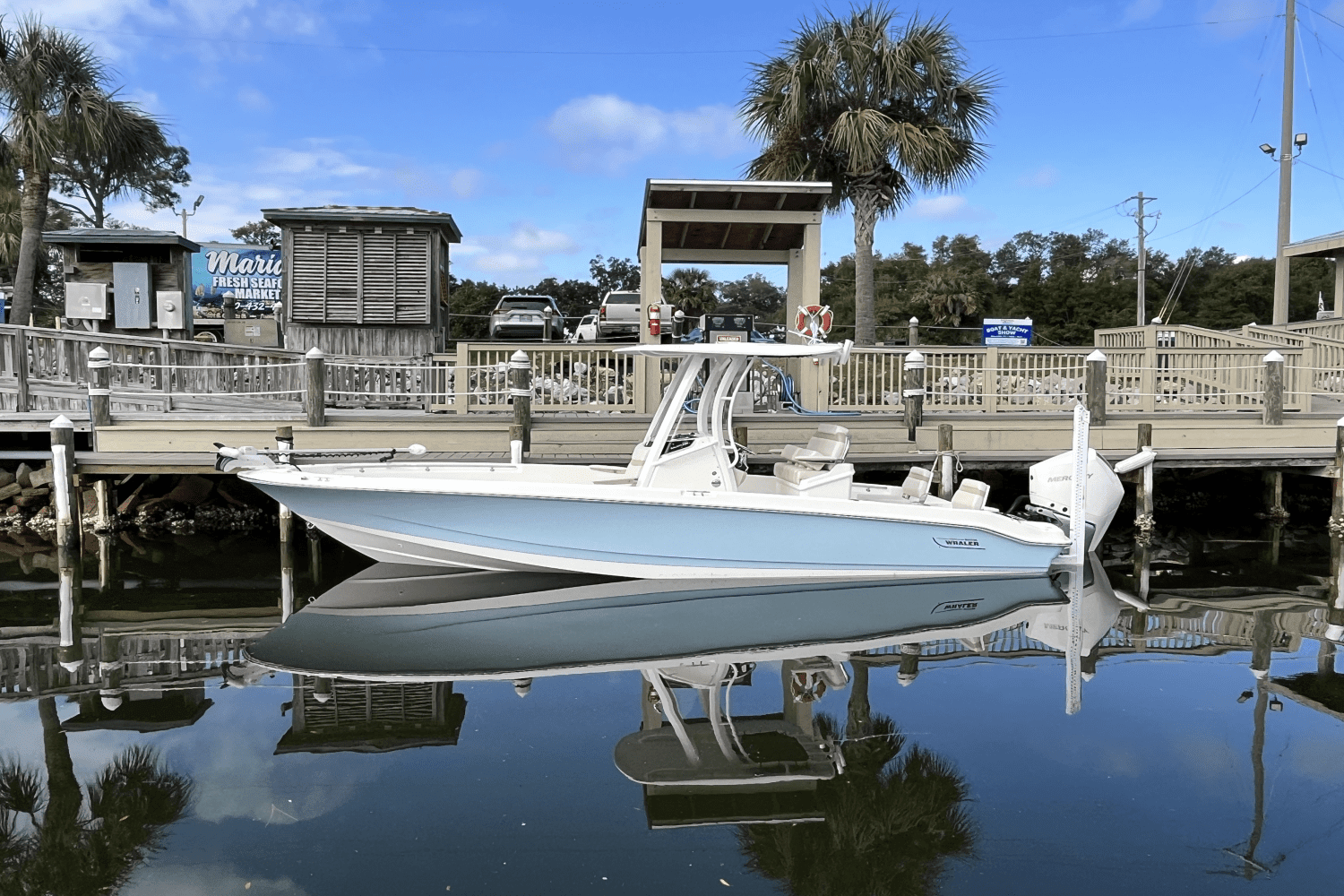 2025 Boston Whaler 250 Dauntless Image Thumbnail #5