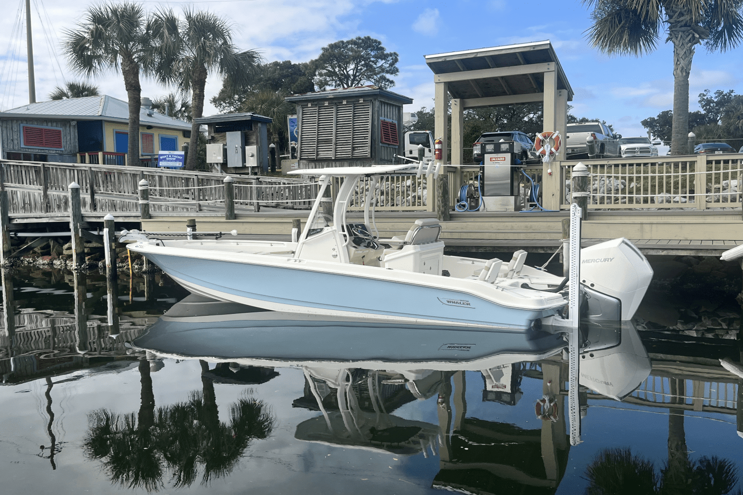 2025 Boston Whaler 250 Dauntless Image Thumbnail #8