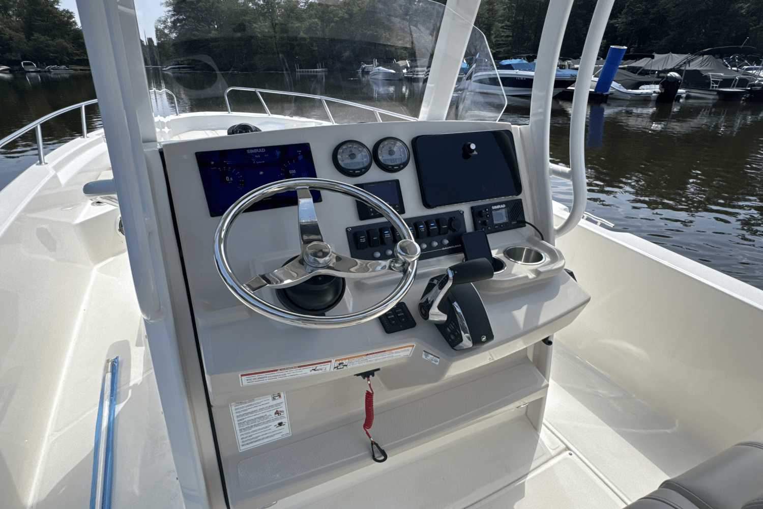 2025 Boston Whaler 250 Dauntless Image Thumbnail #13