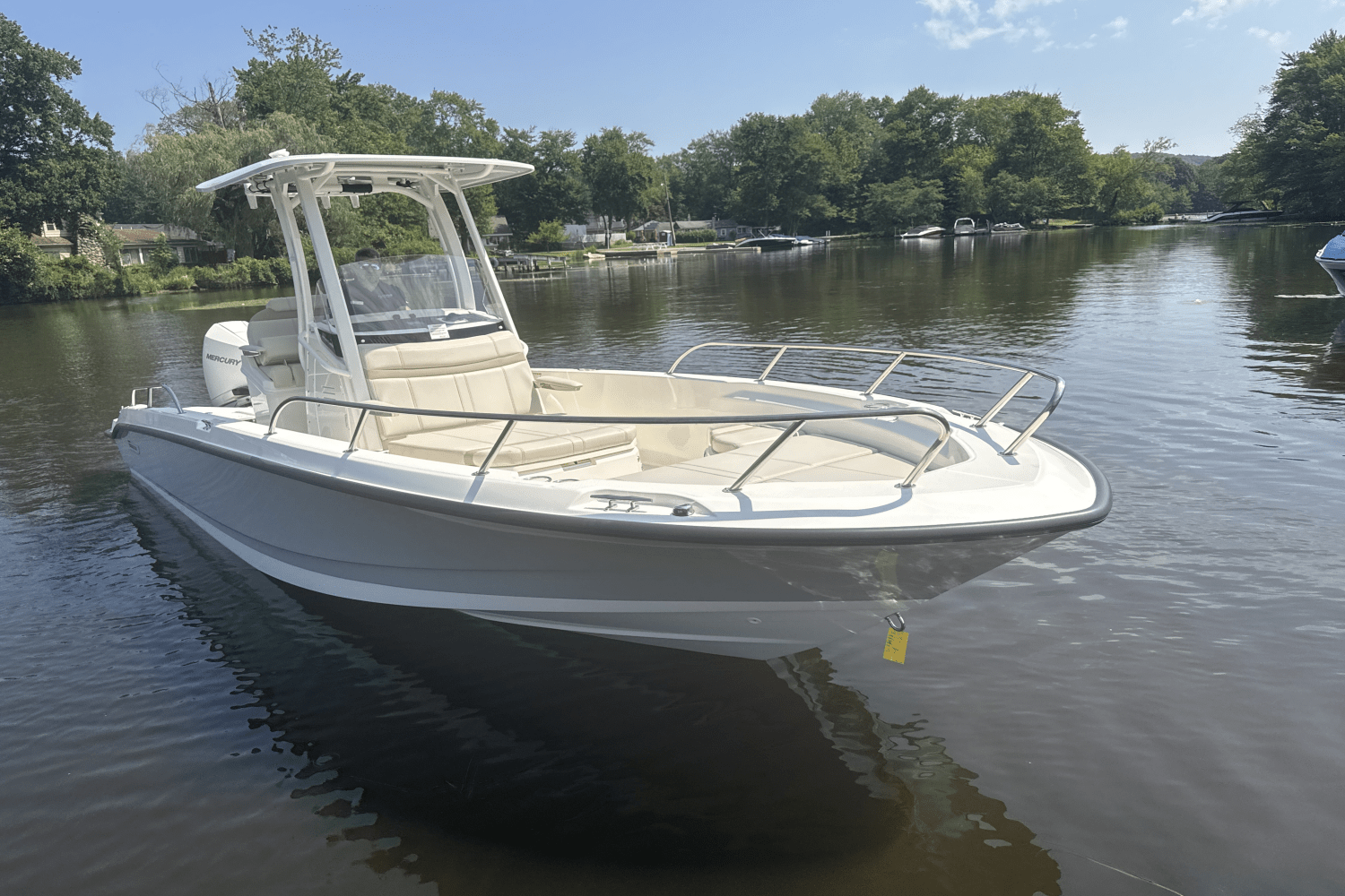2025 Boston Whaler 250 Dauntless Image Thumbnail #5