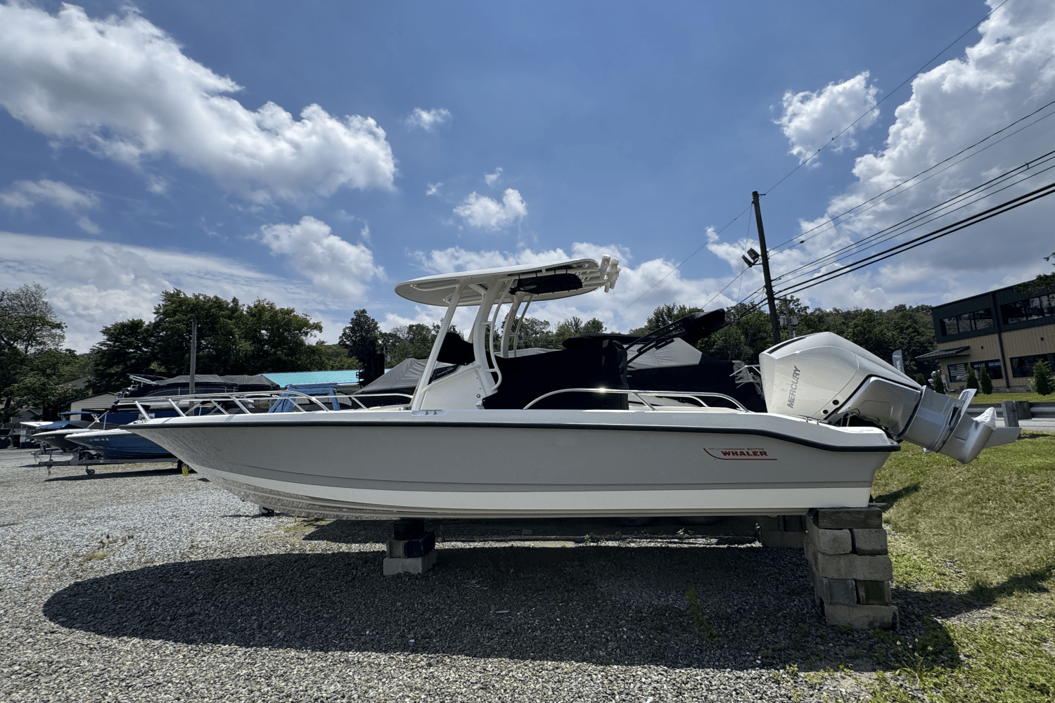 2025 Boston Whaler 250 Dauntless Image Thumbnail #1