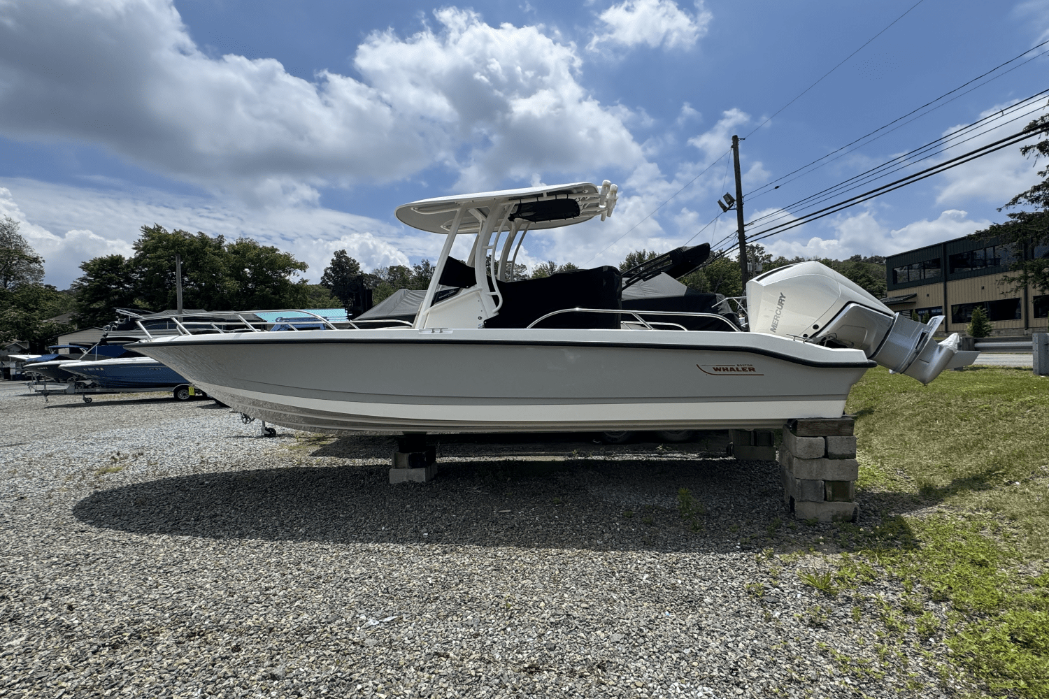 2025 Boston Whaler 250 Dauntless Image Thumbnail #5