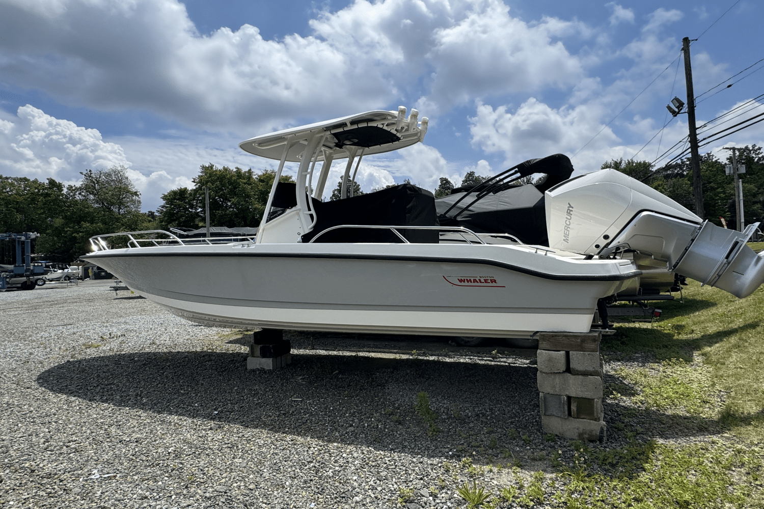 2025 Boston Whaler 250 Dauntless Image Thumbnail #6