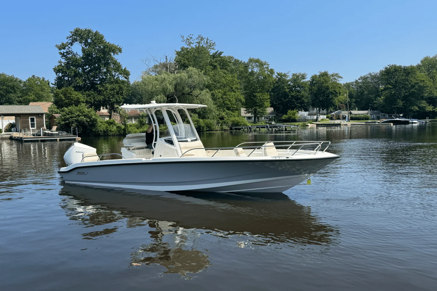 2025 Boston Whaler 250 Dauntless Image Thumbnail #2