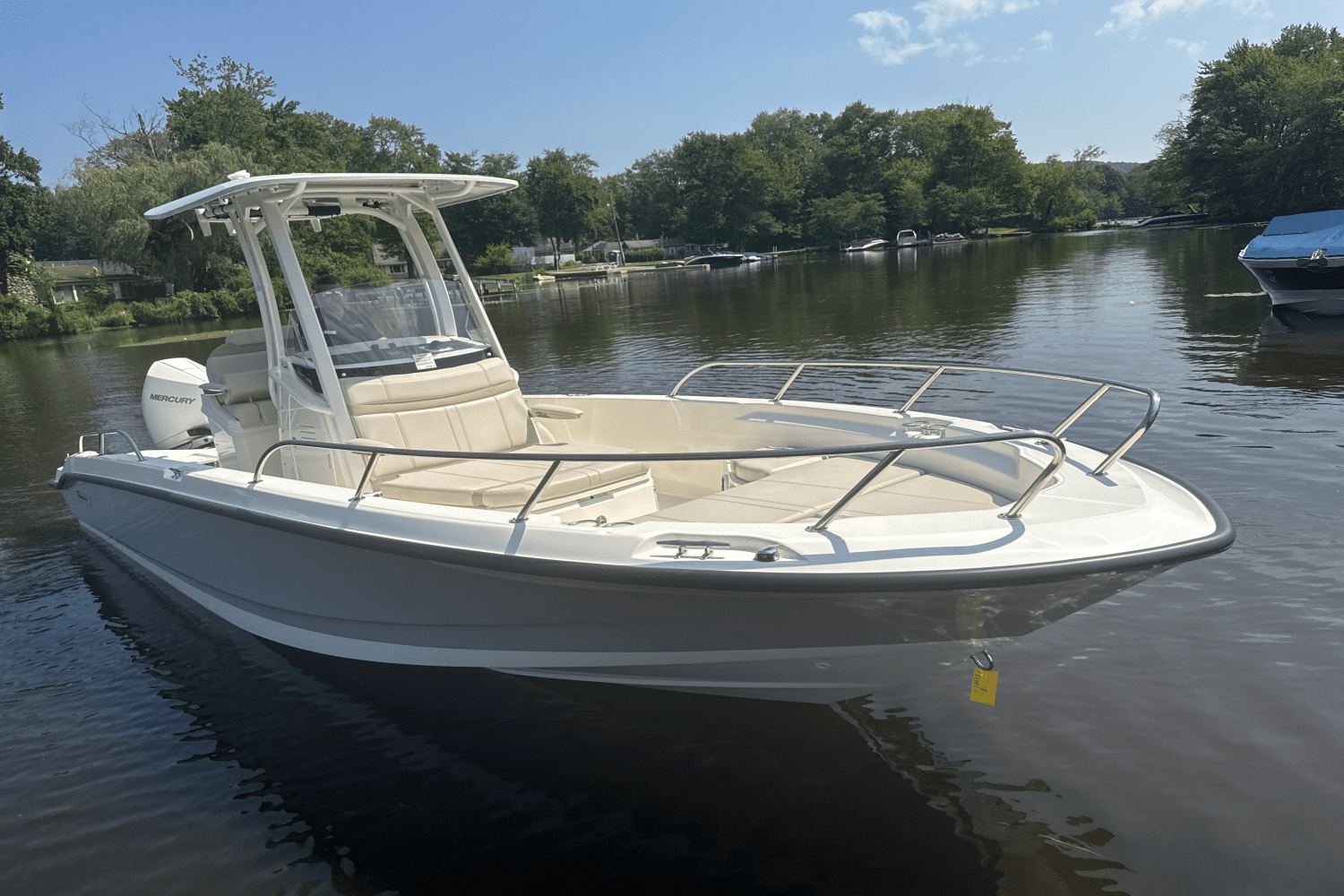 2025 Boston Whaler 250 Dauntless Image Thumbnail #4