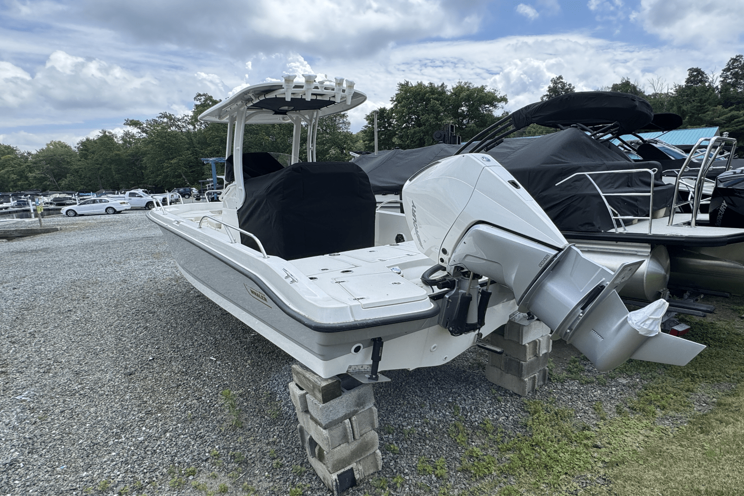 2025 Boston Whaler 250 Dauntless Image Thumbnail #12