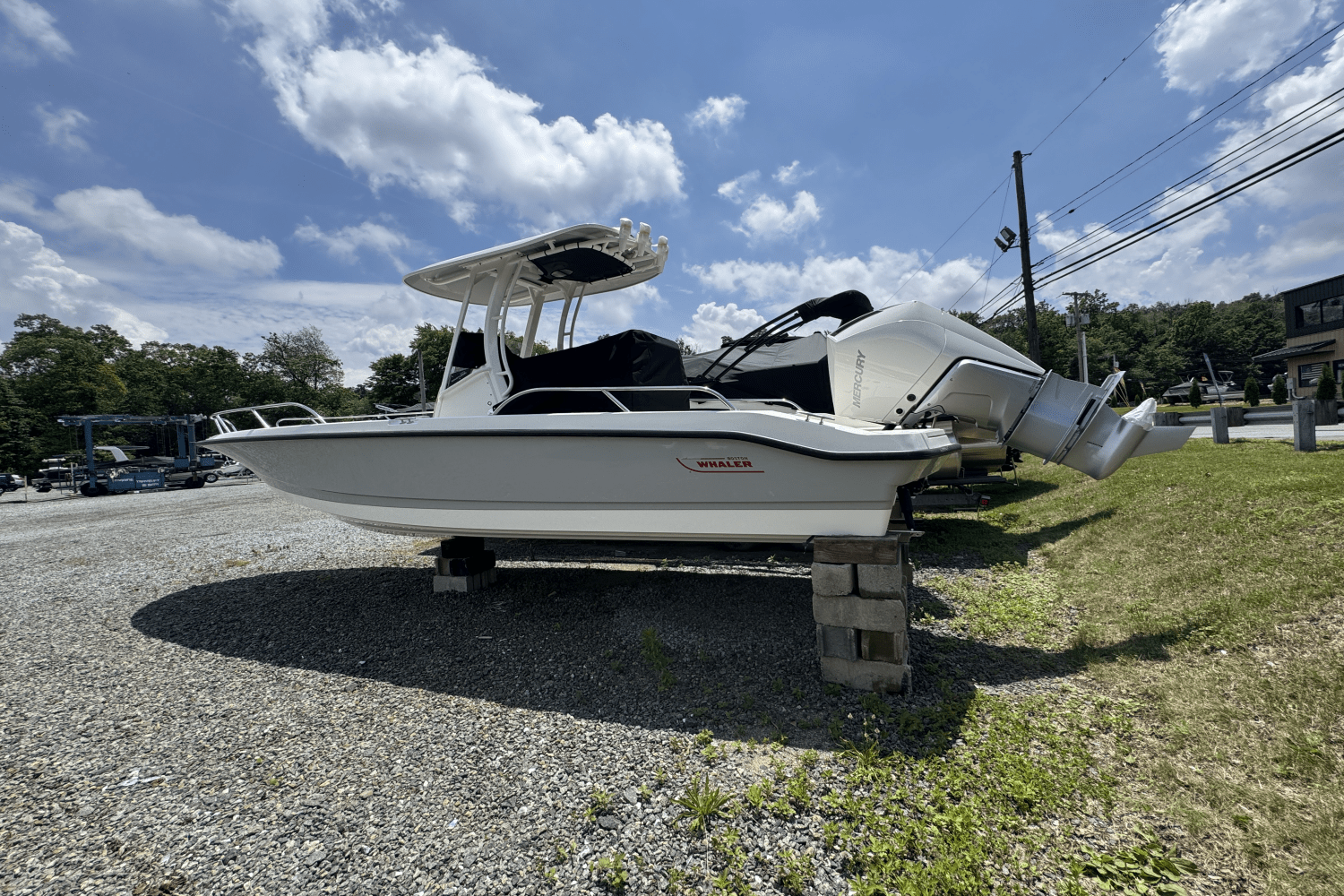 2025 Boston Whaler 250 Dauntless Image Thumbnail #8