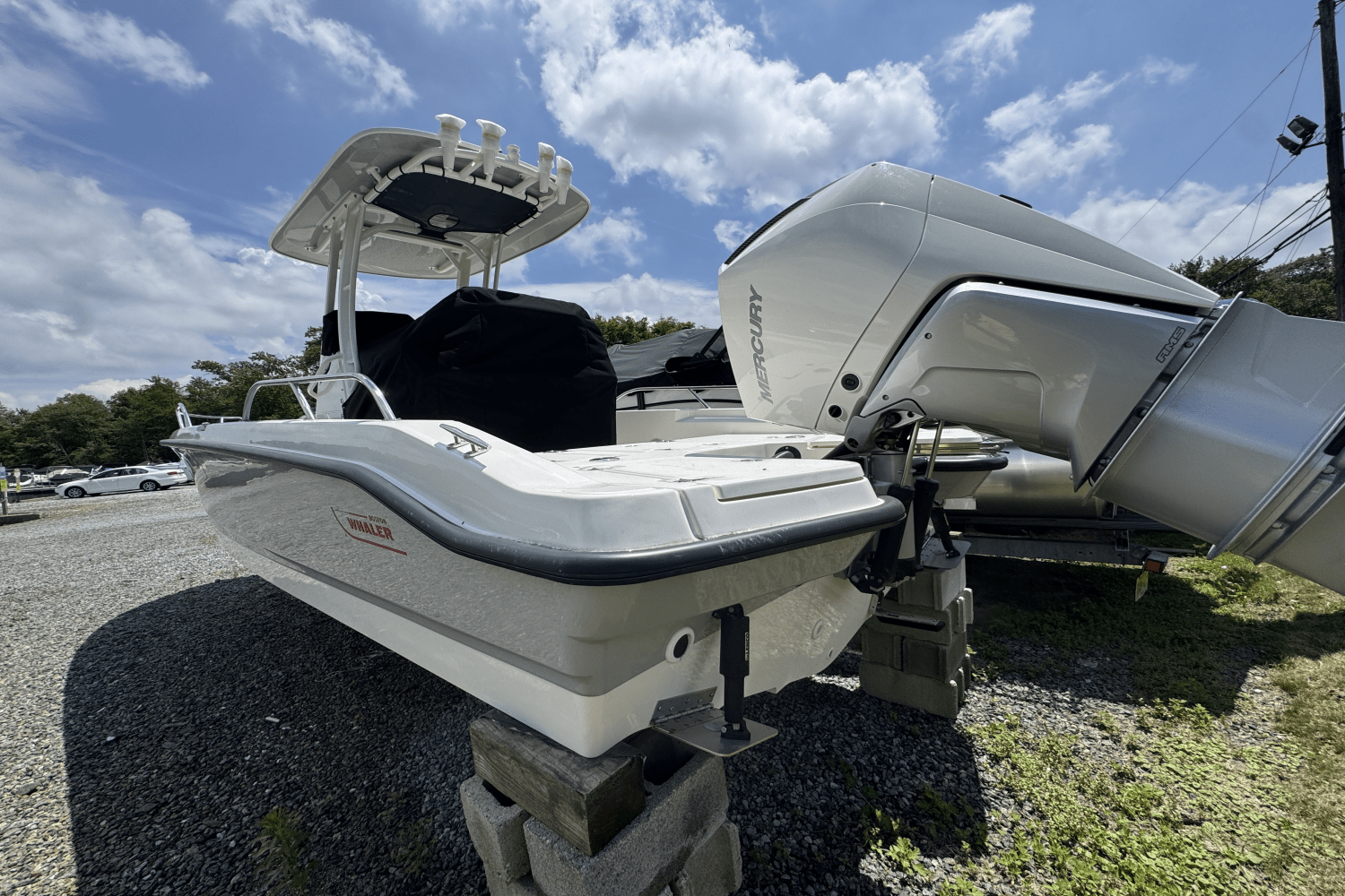 2025 Boston Whaler 250 Dauntless Image Thumbnail #10