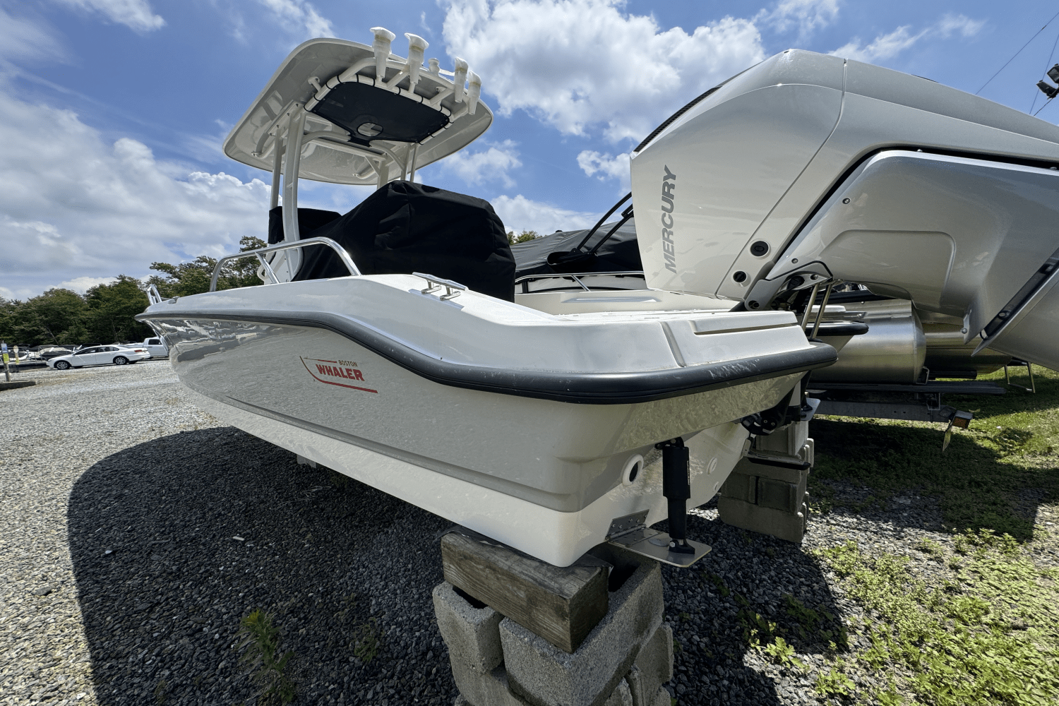 2025 Boston Whaler 250 Dauntless Image Thumbnail #11