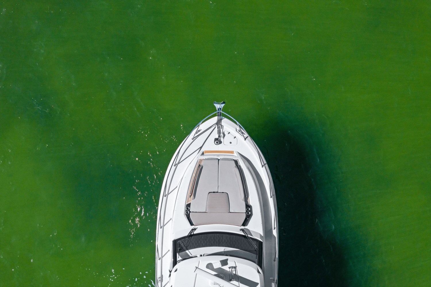 2025 Boston Whaler 365 Conquest Image Thumbnail #27