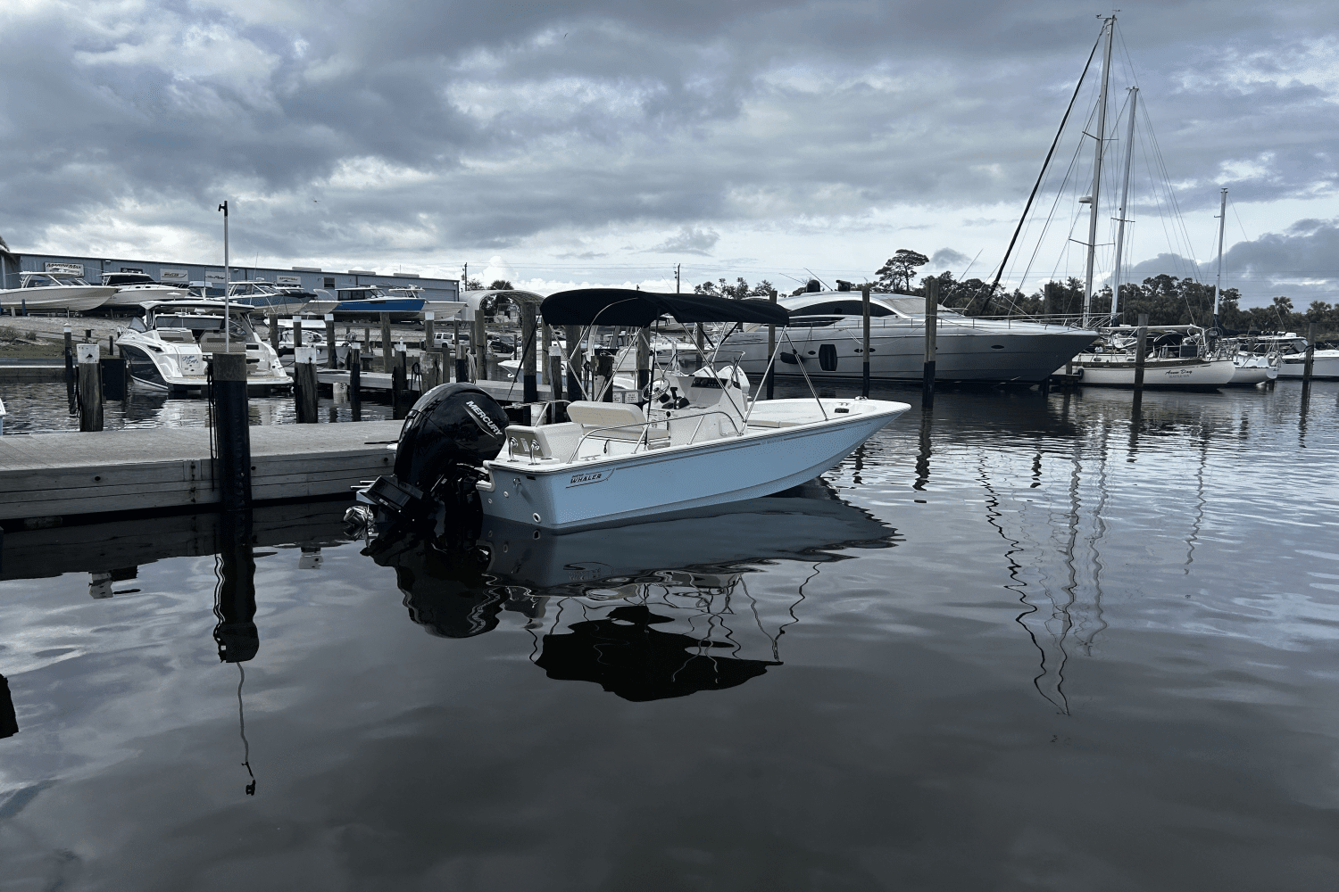 2025 Boston Whaler 190 Montauk Image Thumbnail #1