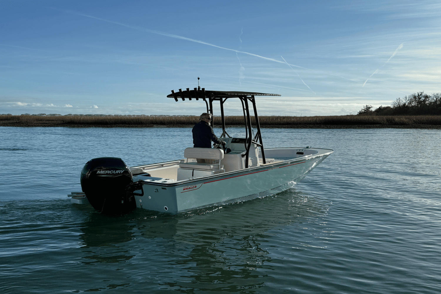 2025 Boston Whaler 190 Montauk Image Thumbnail #4