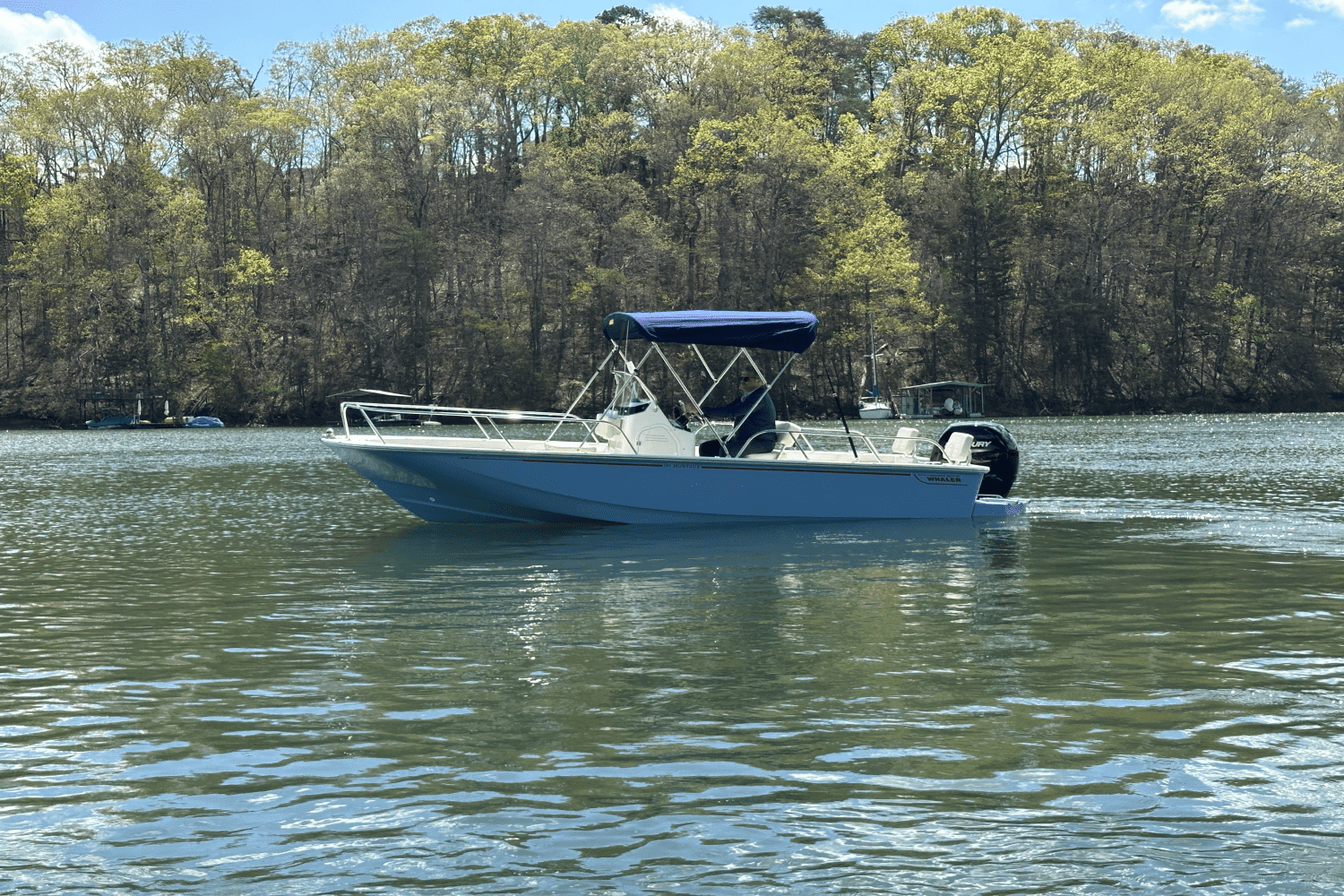 2025 Boston Whaler 190 Montauk Image Thumbnail #1