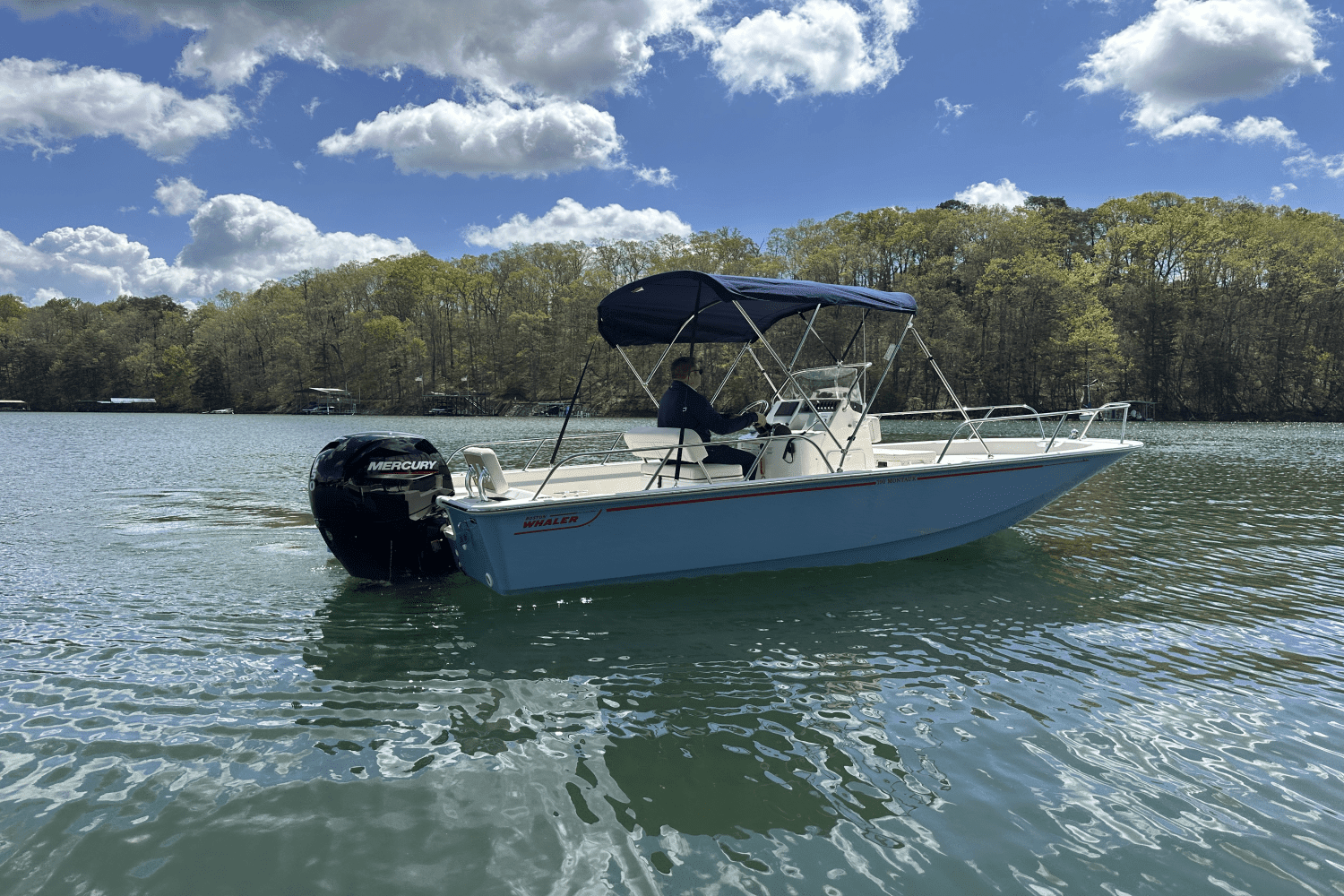 2025 Boston Whaler 190 Montauk Image Thumbnail #4
