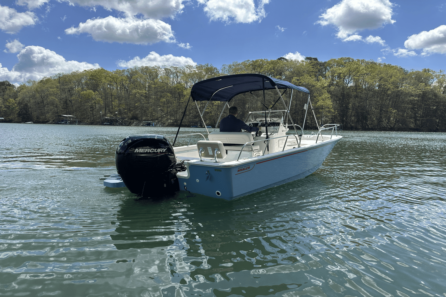 2025 Boston Whaler 190 Montauk Image Thumbnail #3