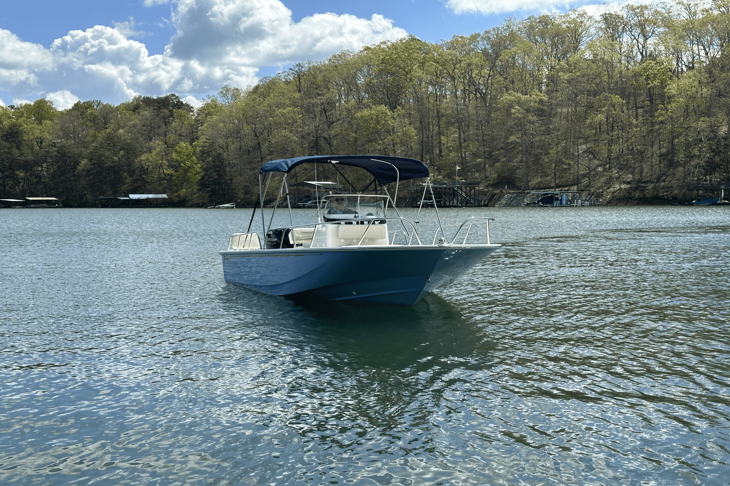 2025 Boston Whaler 190 Montauk Image Thumbnail #9
