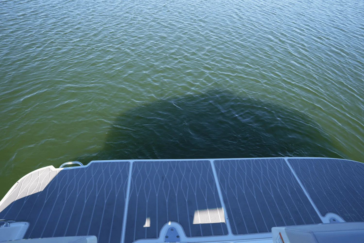 2025 Sea Ray Sundancer 370 Image Thumbnail #13