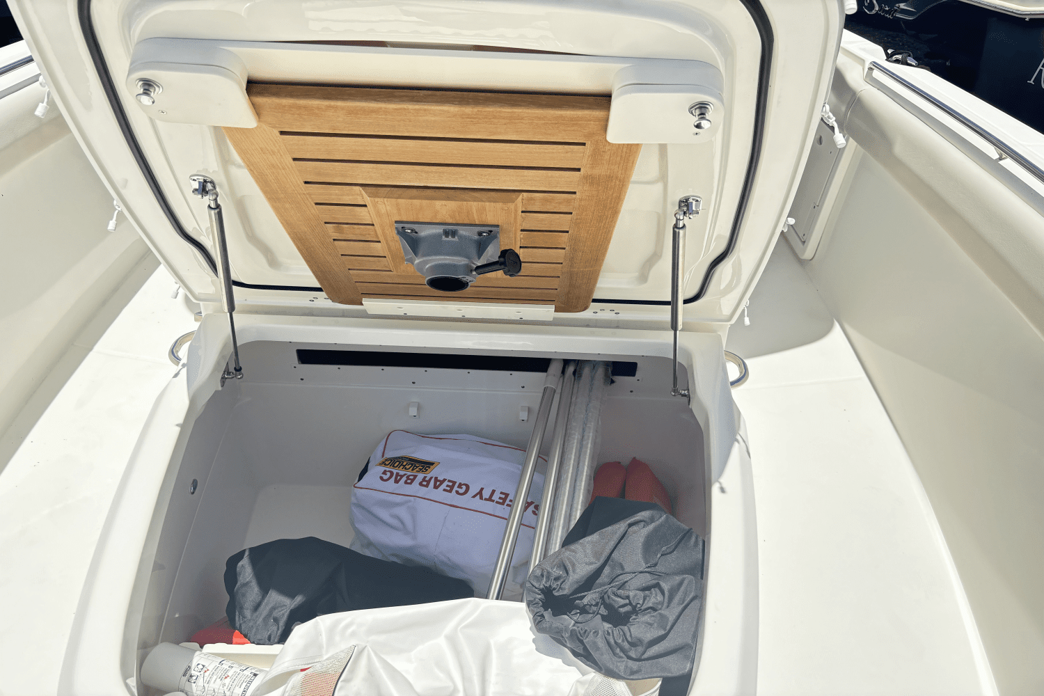 2019 Boston Whaler 330 OUTRAGE Image Thumbnail #12