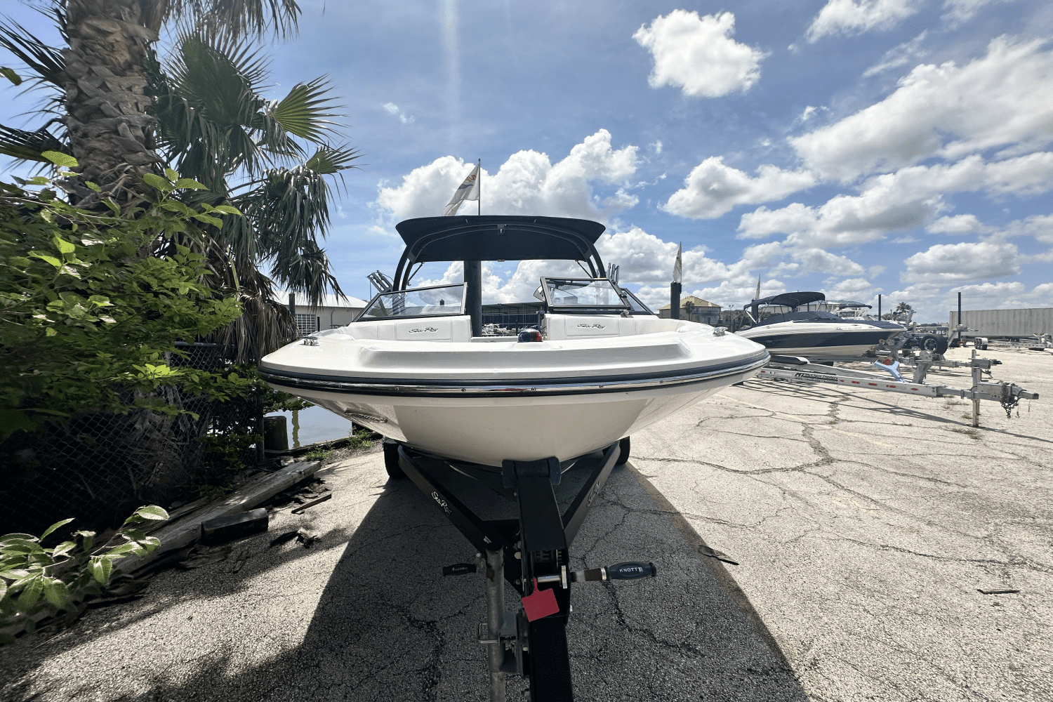 2019 Sea Ray 190 SPX Image Thumbnail #17