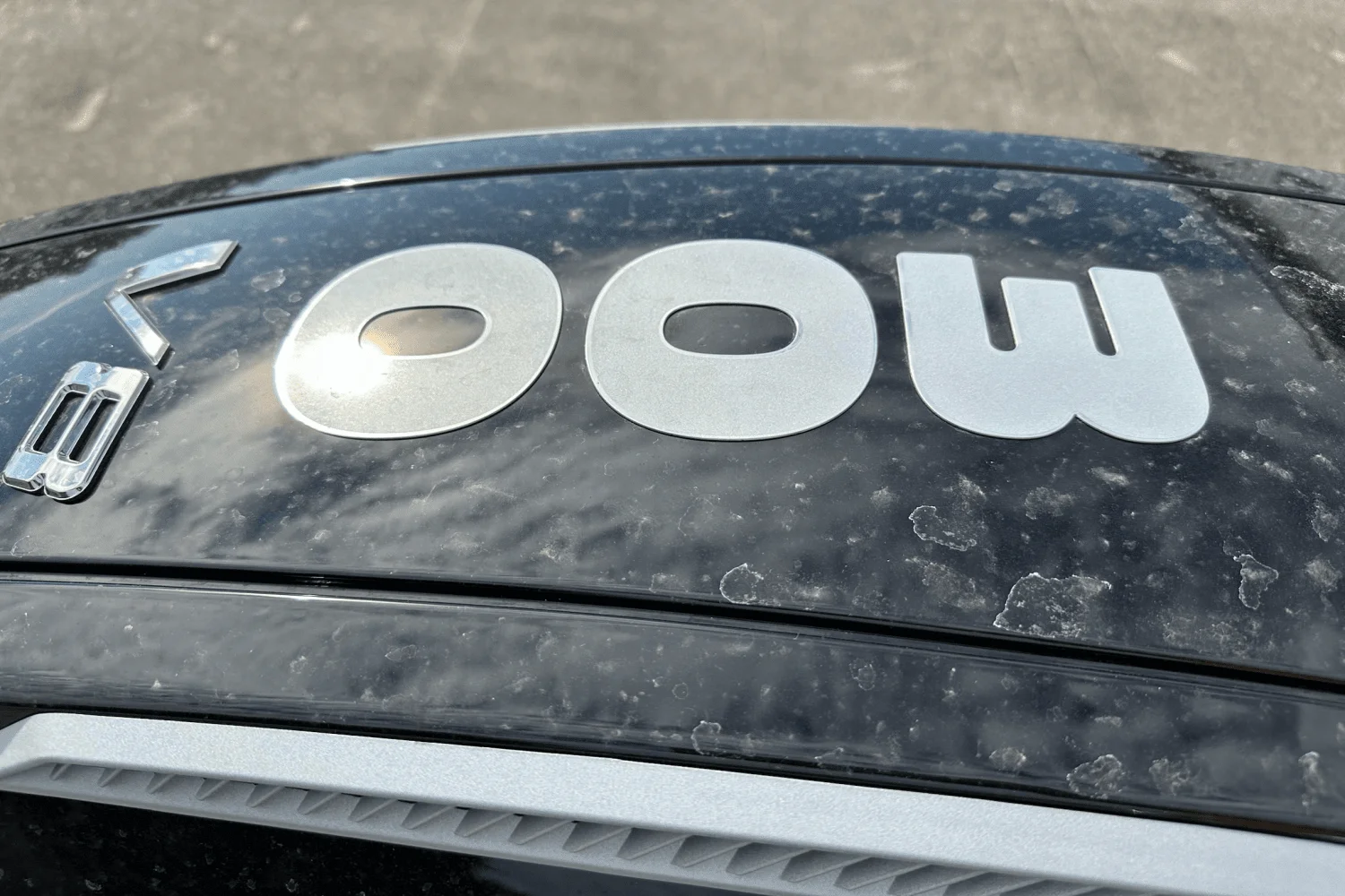 2025 Barletta Corsa Image Thumbnail #10