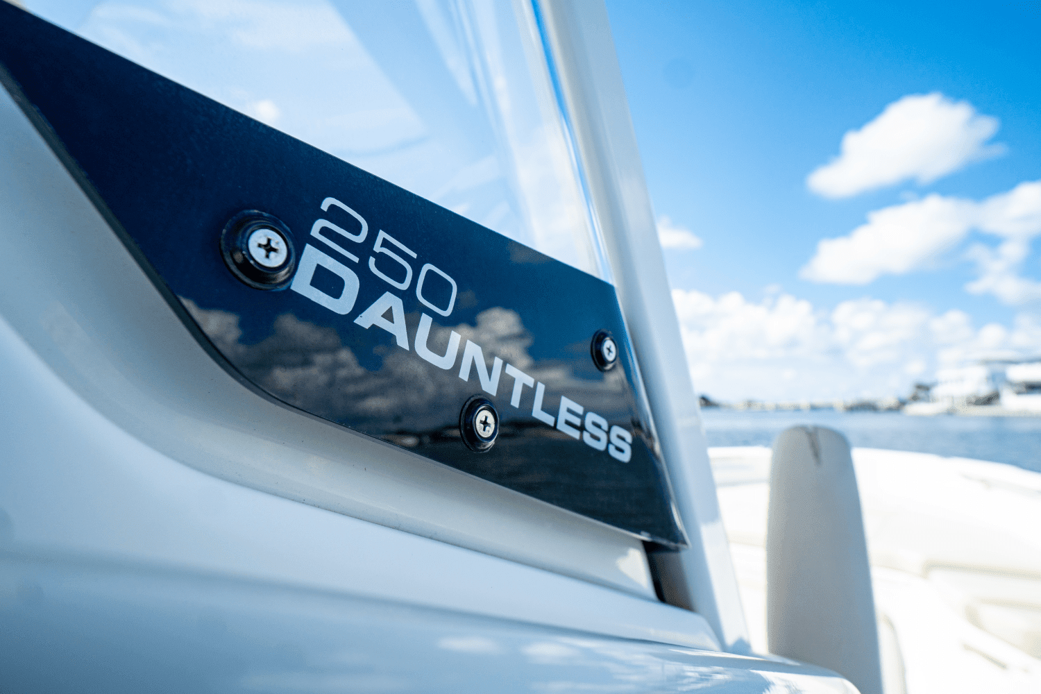 2021 Boston Whaler 250 DAUNTLESS Image Thumbnail #35