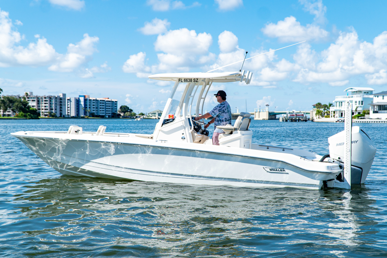 2021 Boston Whaler 250 DAUNTLESS Image Thumbnail #7