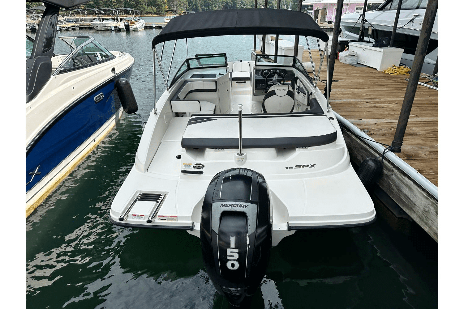 2015 Sea Ray 19 SPX Outboard Image Thumbnail #3