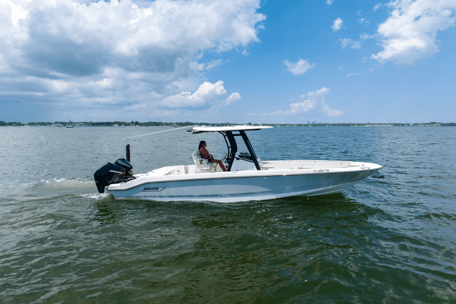 2023 Boston Whaler 28 DAUNTLESS Image Thumbnail #2