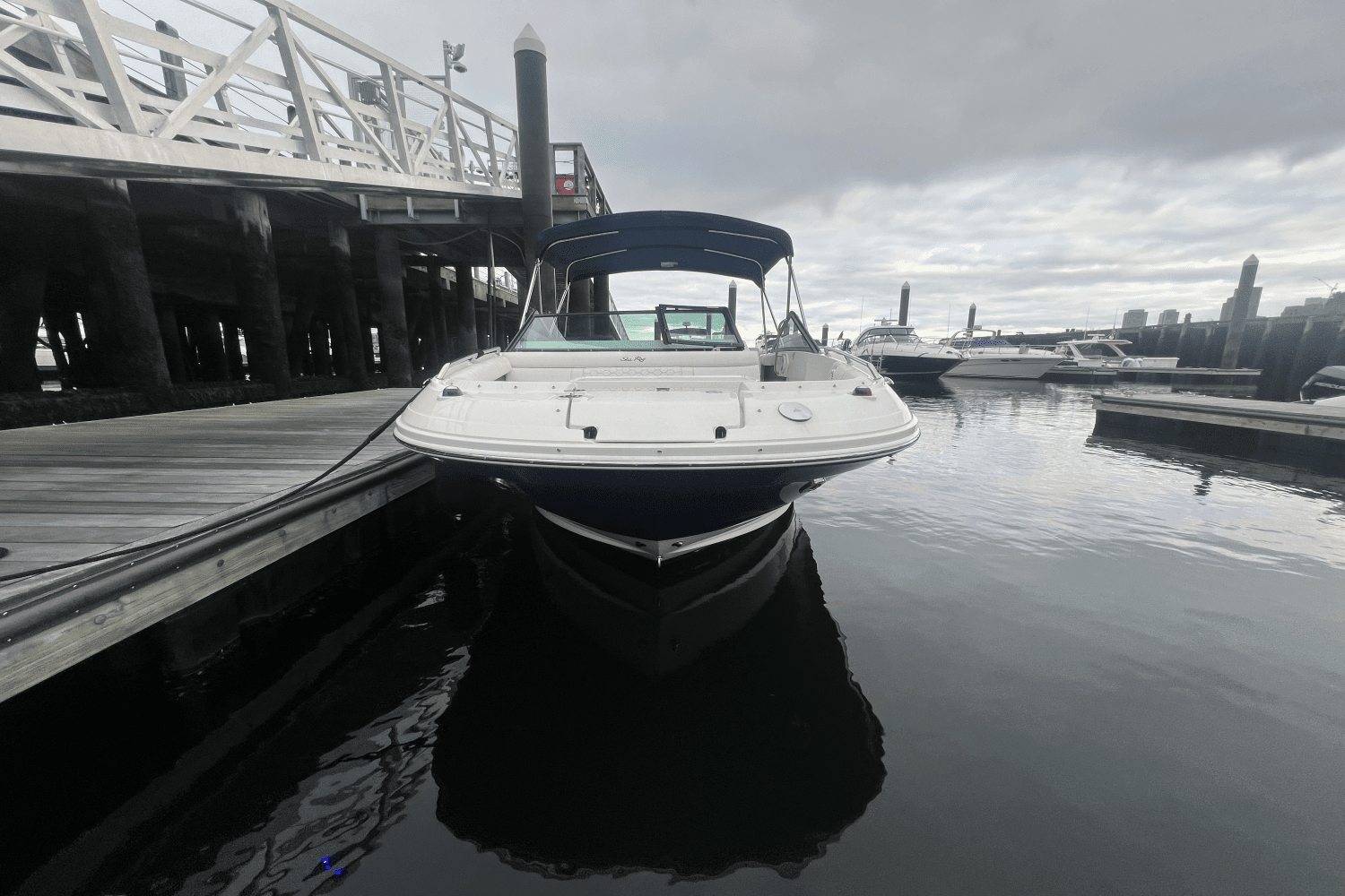 2018 Sea Ray 250SDX-OB Image Thumbnail #3