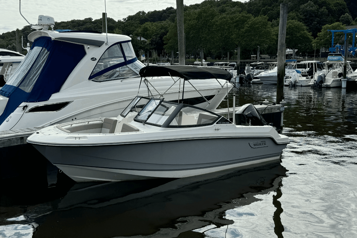 2024 Boston Whaler 210 Vantage Image Thumbnail #1