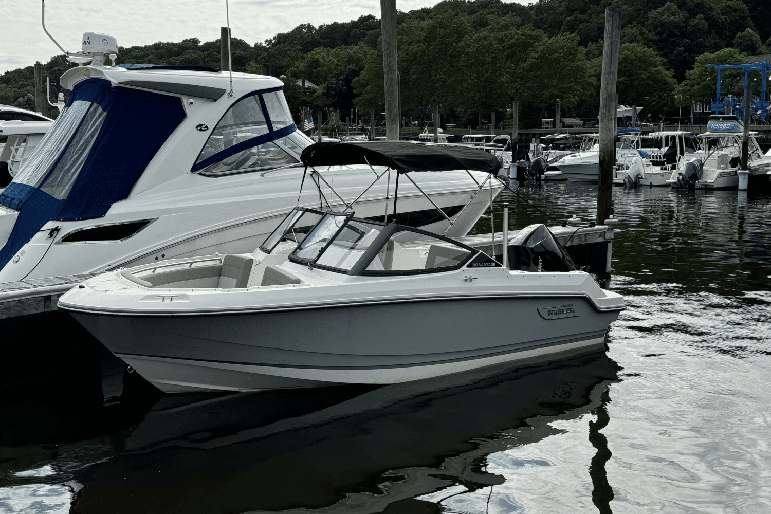 2024 Boston Whaler 210 Vantage Image Thumbnail #2