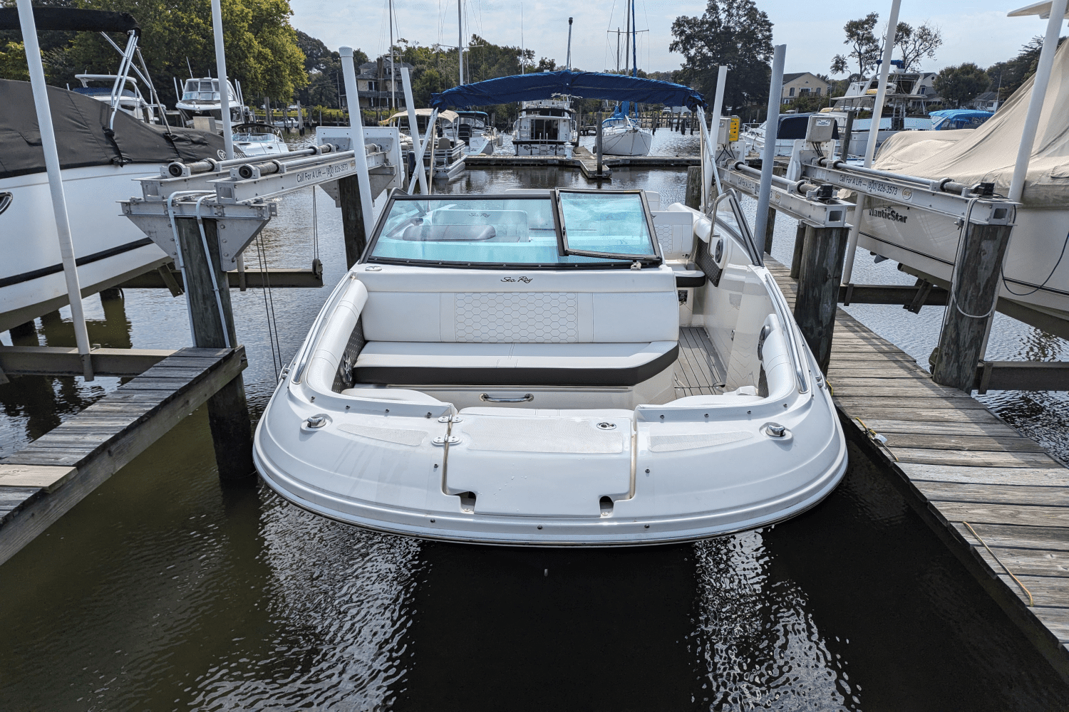 2019 Sea Ray 250SDX Image Thumbnail #1