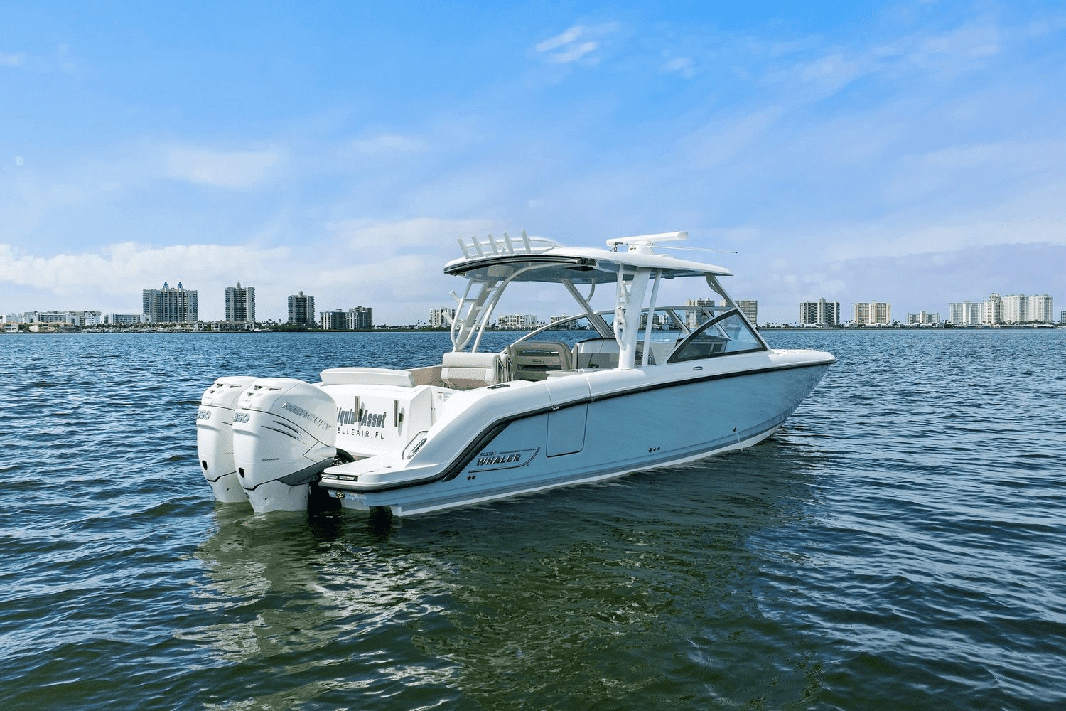 2019 Boston Whaler 320 VANTAGE Image Thumbnail #5