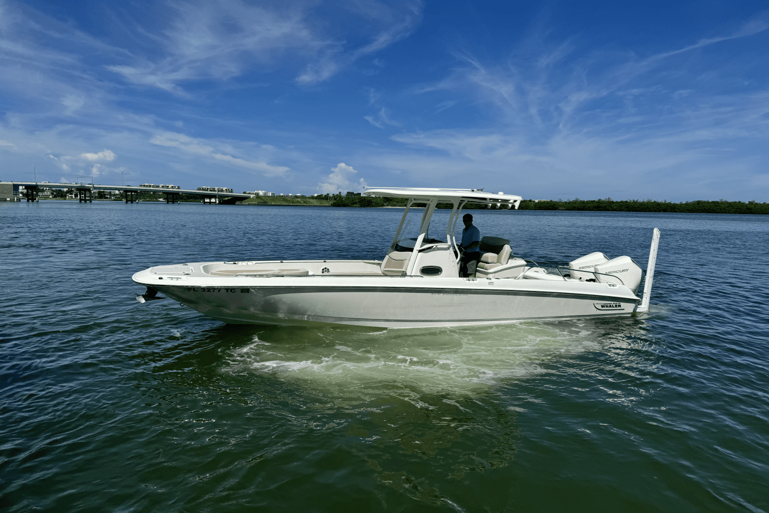 2022 Boston Whaler 270 Dauntless Image Thumbnail #4