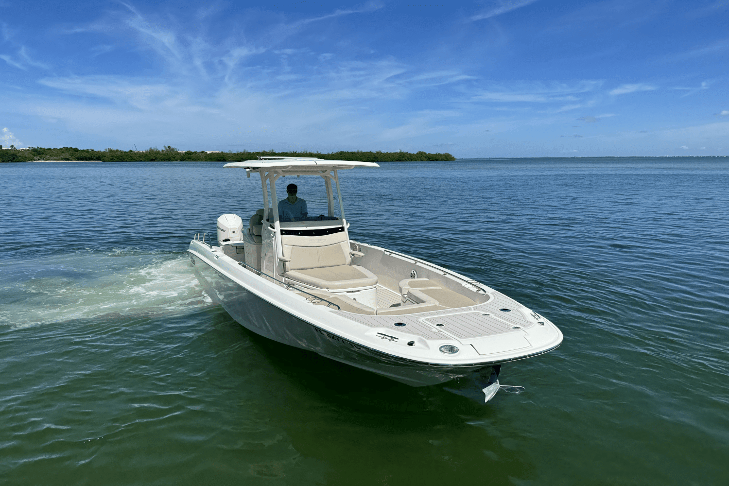 2022 Boston Whaler 270 Dauntless Image Thumbnail #2