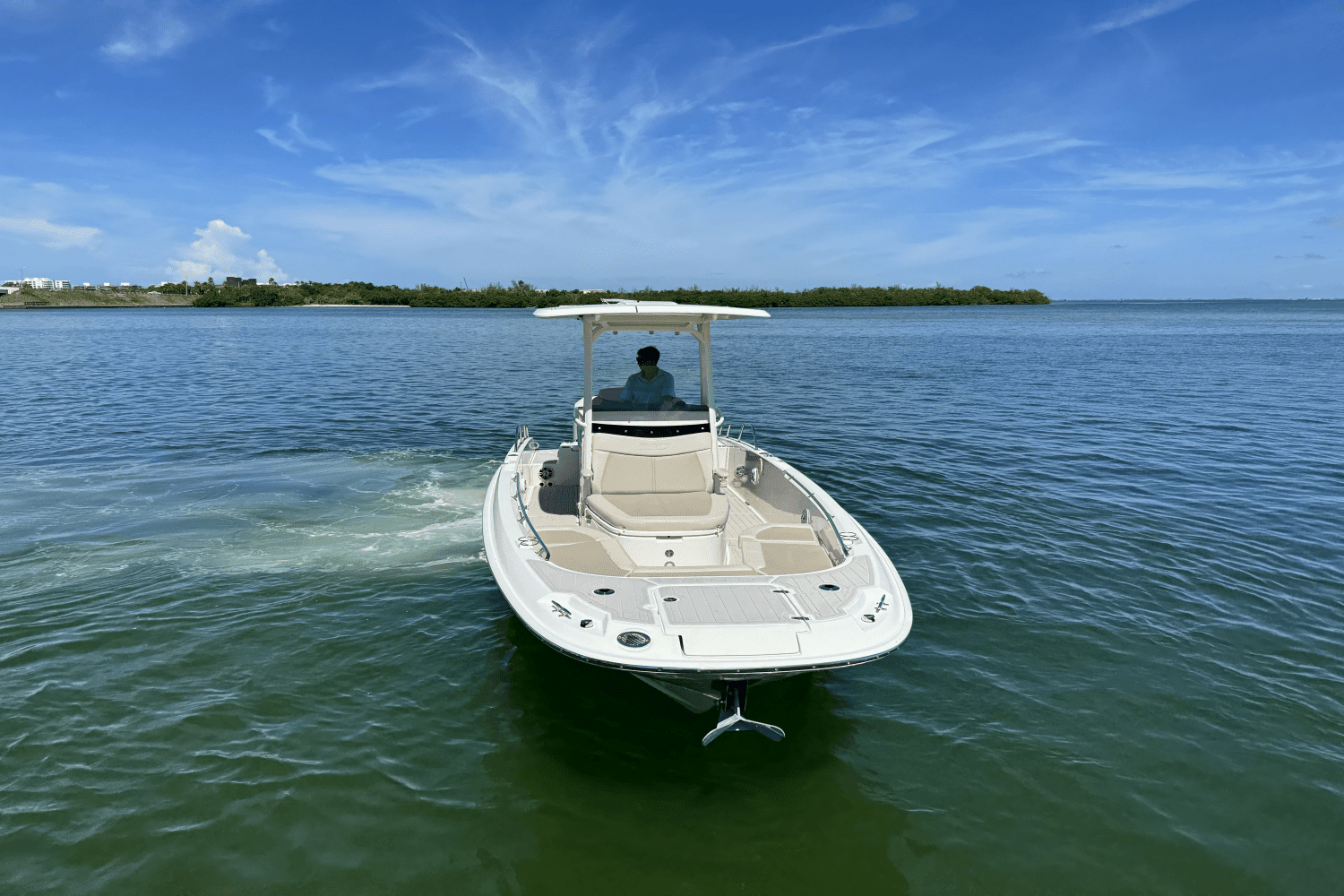 2022 Boston Whaler 270 Dauntless Image Thumbnail #3