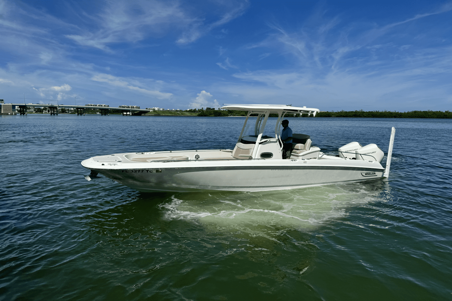 2022 Boston Whaler 270 Dauntless Image Thumbnail #5