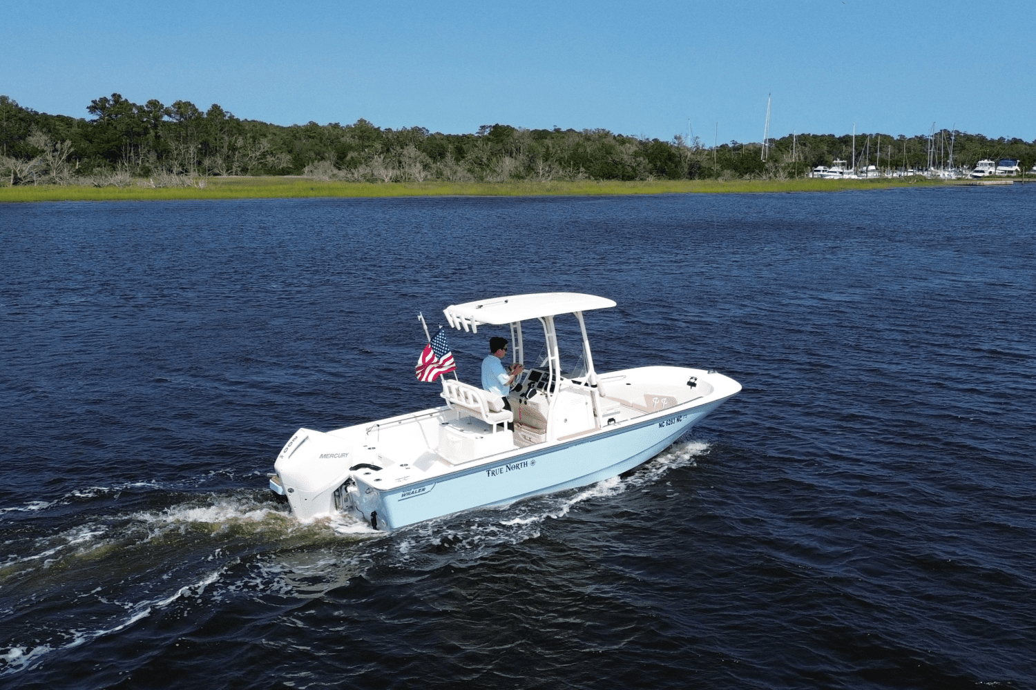 2024 Boston Whaler 210 MONTAUK Image Thumbnail #10