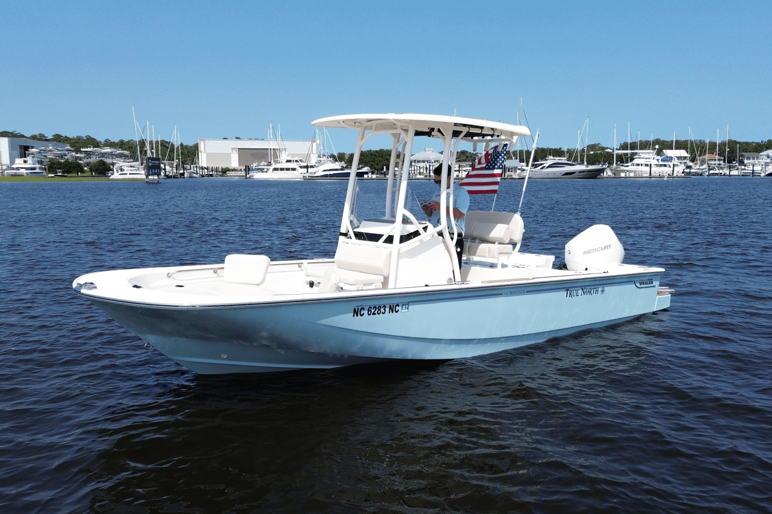 2024 Boston Whaler 210 MONTAUK Image Thumbnail #2