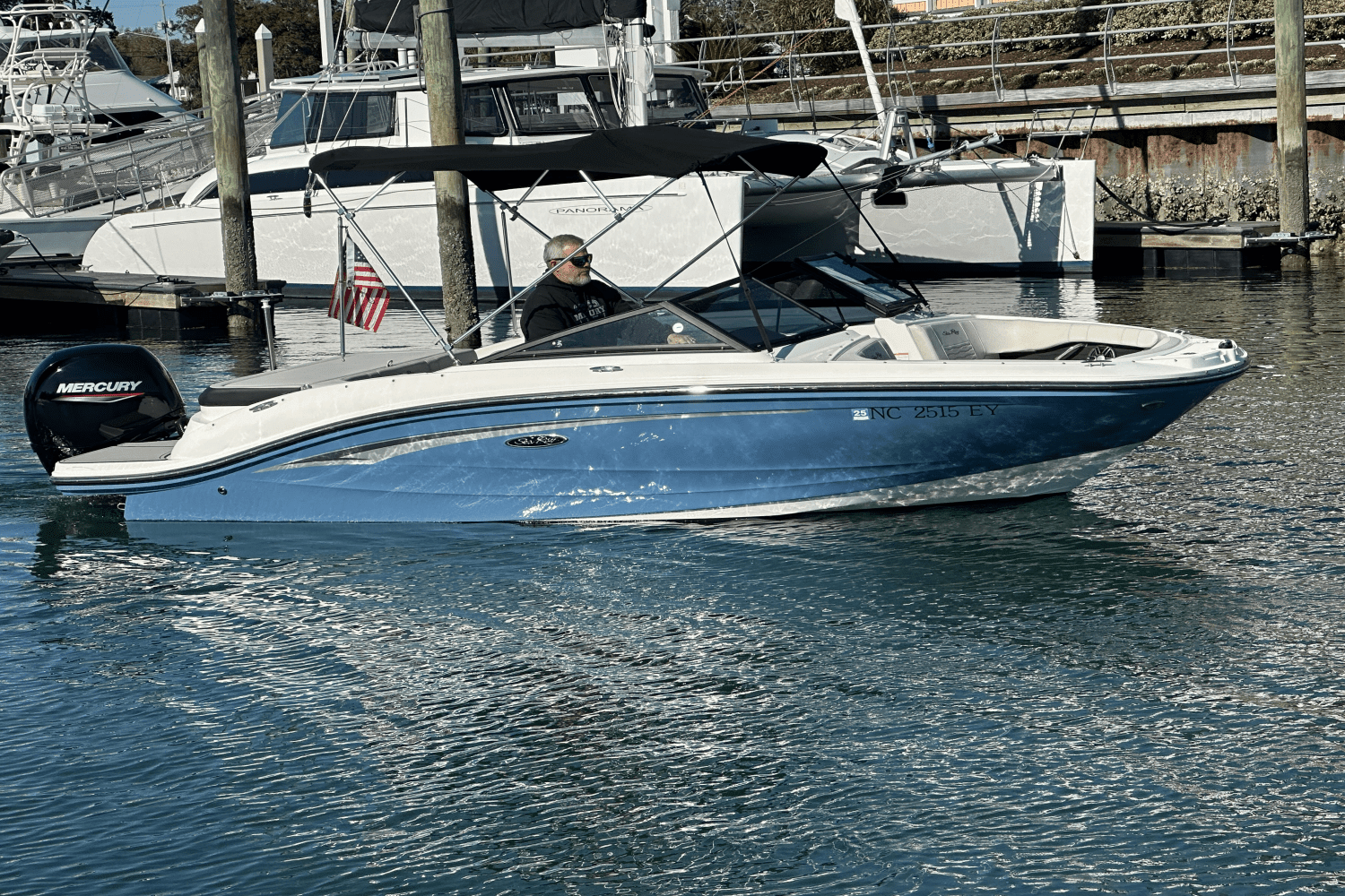 2022 Sea Ray 190 SPX OB Image Thumbnail #6